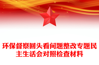 环保督察回头看问题整改专题民主生活会对照检查材料