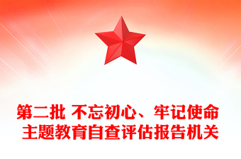 第二批 不忘初心、牢记使命 主题教育自查评估报告机关
