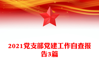 2021党支部党建工作自查报告3篇