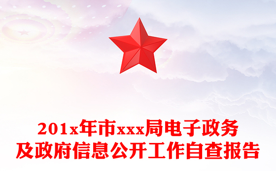 201x年市xxx局电子政务及政府信息公开工作自查报告