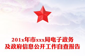 201x年市xxx局电子政务及政府信息公开工作自查报告
