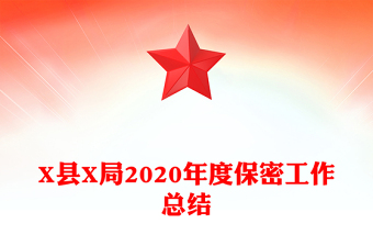 X县X局2020年度保密工作总结