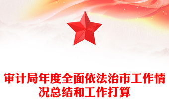 审计局年度全面依法治市工作情况总结和工作打算