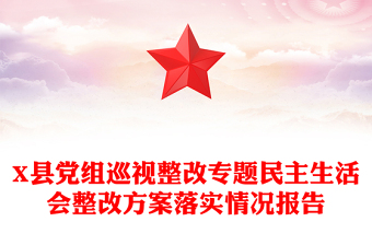 X县党组巡视整改专题民主生活会整改方案落实情况报告