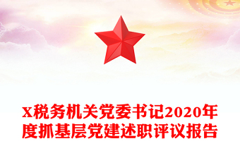 X税务机关党委书记2020年度抓基层党建述职评议报告