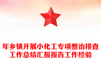 年乡镇开展小化工专项整治排查工作总结汇报报告工作经验
