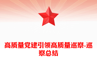 高质量党建引领高质量巡察-巡察总结