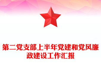 第二党支部上半年党建和党风廉政建设工作汇报