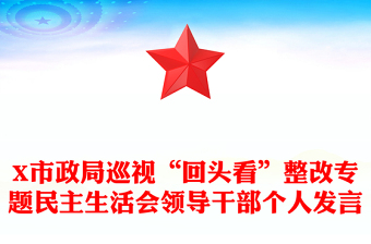 X市政局巡视“回头看”整改专题民主生活会领导干部个人发言