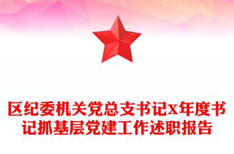 区纪委机关党总支书记X年度书记抓基层党建工作述职报告