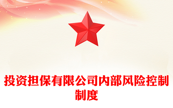 投资担保有限公司内部风险控制制度