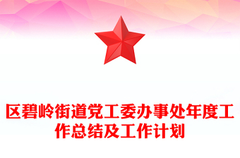 区碧岭街道党工委办事处年度工作总结及工作计划