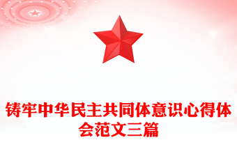 铸牢中华民主共同体意识心得体会范文三篇