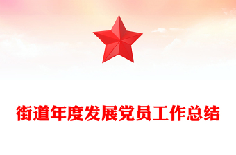 街道年度发展党员工作总结
