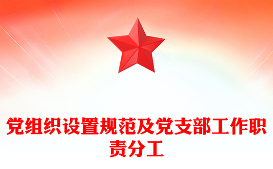 党组织设置规范及党支部工作职责分工