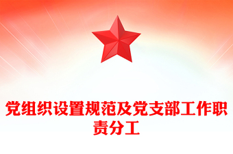 党组织设置规范及党支部工作职责分工