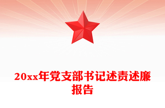 20xx年党支部书记述责述廉报告