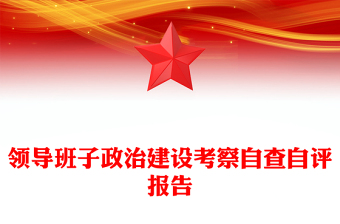 领导班子政治建设考察自查自评报告