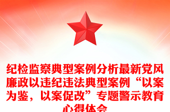 纪检监察典型案例分析最新党风廉政以违纪违法典型案例“以案为鉴，以案促改”专题警示教育心得体会