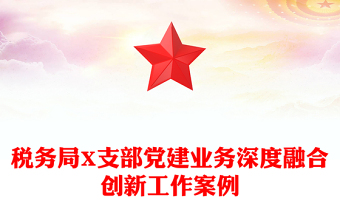 税务局X支部党建业务深度融合创新工作案例