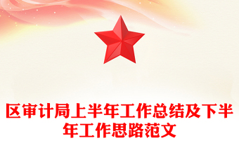 区审计局上半年工作总结及下半年工作思路范文