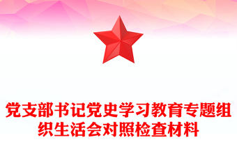 党支部书记党史学习教育专题组织生活会对照检查材料