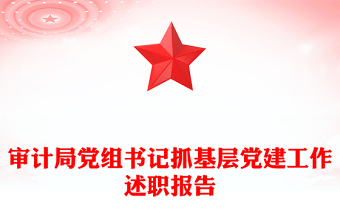 抓基层党建工作述职报告