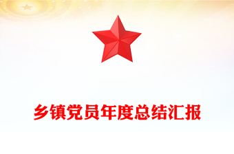 乡镇党员年度总结汇报