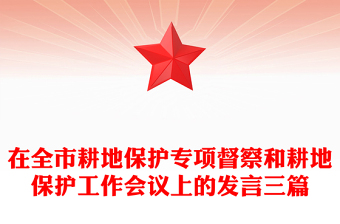 在全市耕地保护专项督察和耕地保护工作会议上的发言三篇