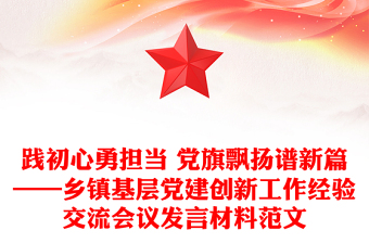 践初心勇担当 党旗飘扬谱新篇——乡镇基层党建创新工作经验交流会议发言材料范文
