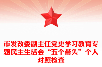 市发改委副主任党史学习教育专题民主生活会“五个带头”个人对照检查