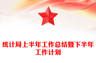 统计局上半年工作总结暨下半年工作计划