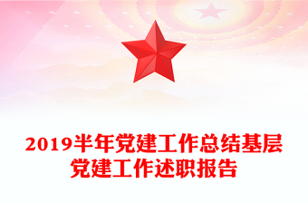 2019半年党建工作总结基层党建工作述职报告