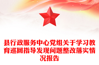 县行政服务中心党组关于学习教育巡回指导发现问题整改落实情况报告