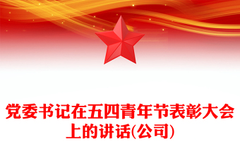 党委书记在五四青年节表彰大会上的讲话(公司)