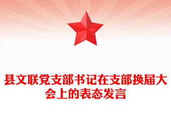 县文联党支部书记在支部换届大会上的表态发言