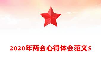 2020年两会心得体会范文5