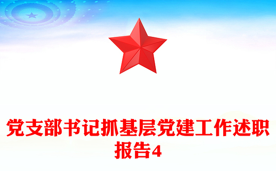 党支部书记抓基层党建工作述职报告4