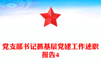 党支部书记抓基层党建工作述职报告4