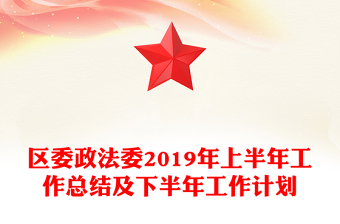 区委政法委2019年上半年工作总结及下半年工作计划