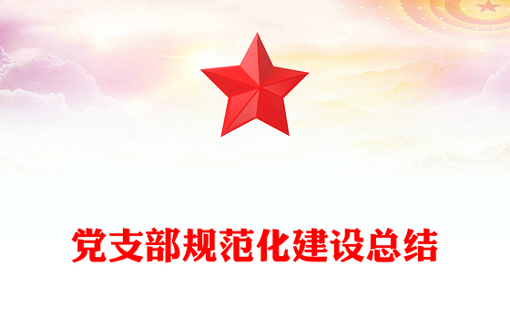 党支部规范化建设总结