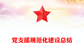 党支部规范化建设总结