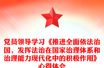 党员领导学习《推进全面依法治国，发挥法治在国家治理体系和治理能力现代化中的积极作用》心得体会