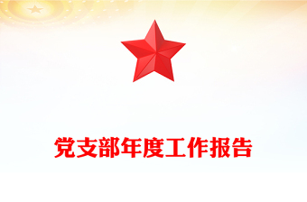 党支部年度工作报告