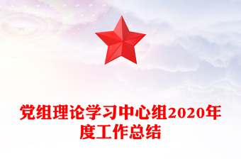 党组理论学习中心组2020年度工作总结