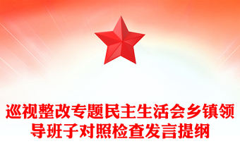 巡视整改专题民主生活会乡镇领导班子对照检查发言提纲