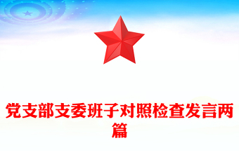 党支部支委班子对照检查发言两篇