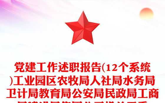 党建工作述职报告(12个系统)工业园区农牧局人社局水务局卫计局教育局公安局民政局工商局建设局集团公司机关工委