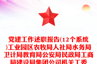 党建工作述职报告(12个系统)工业园区农牧局人社局水务局卫计局教育局公安局民政局工商局建设局集团公司机关工委