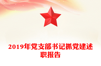 2019年党支部书记抓党建述职报告